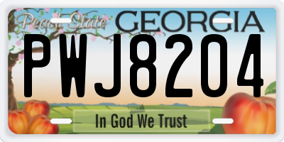 GA license plate PWJ8204