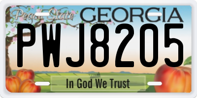 GA license plate PWJ8205