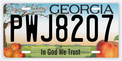 GA license plate PWJ8207