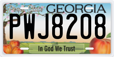 GA license plate PWJ8208