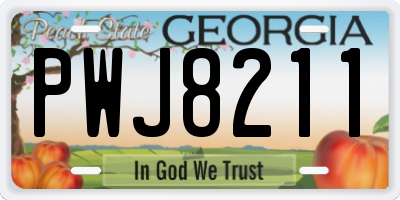 GA license plate PWJ8211