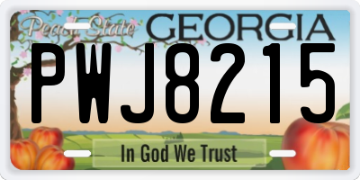 GA license plate PWJ8215