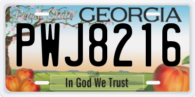 GA license plate PWJ8216
