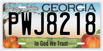 GA license plate PWJ8218