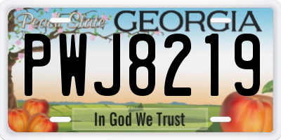 GA license plate PWJ8219