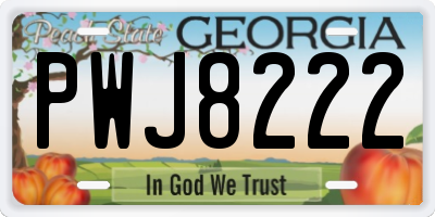 GA license plate PWJ8222