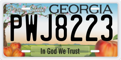 GA license plate PWJ8223