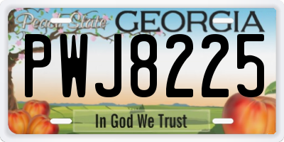 GA license plate PWJ8225