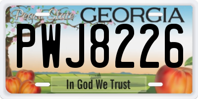 GA license plate PWJ8226