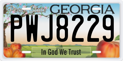 GA license plate PWJ8229