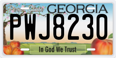 GA license plate PWJ8230