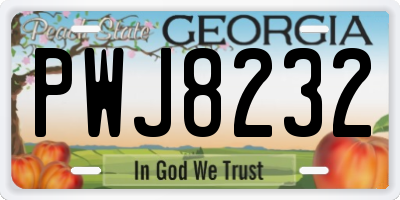 GA license plate PWJ8232