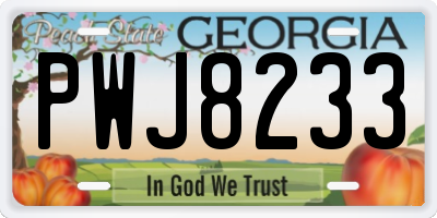 GA license plate PWJ8233