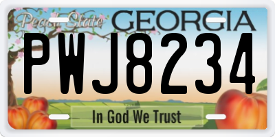 GA license plate PWJ8234