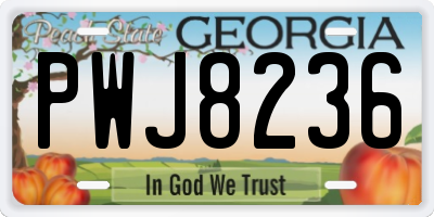 GA license plate PWJ8236