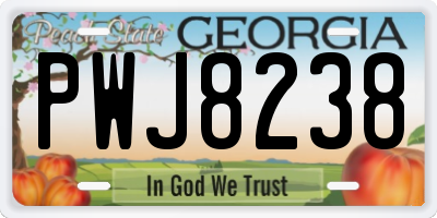GA license plate PWJ8238