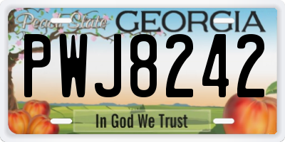 GA license plate PWJ8242
