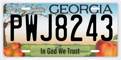 GA license plate PWJ8243