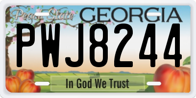 GA license plate PWJ8244