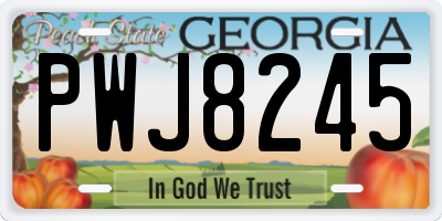 GA license plate PWJ8245
