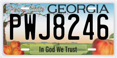 GA license plate PWJ8246