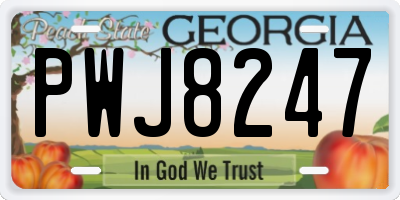GA license plate PWJ8247