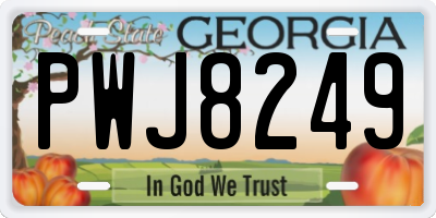 GA license plate PWJ8249