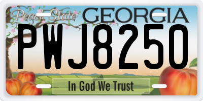 GA license plate PWJ8250