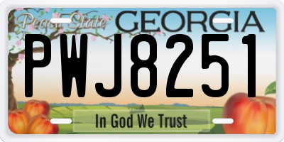 GA license plate PWJ8251