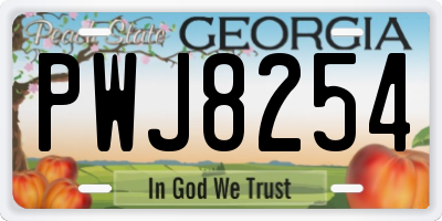 GA license plate PWJ8254