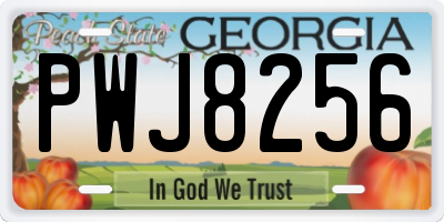 GA license plate PWJ8256
