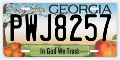 GA license plate PWJ8257