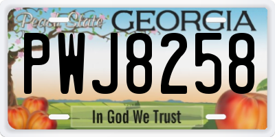 GA license plate PWJ8258