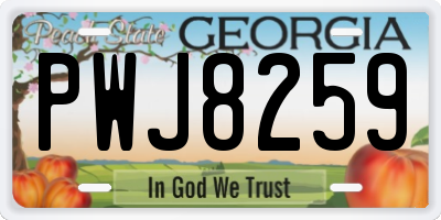 GA license plate PWJ8259
