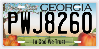GA license plate PWJ8260