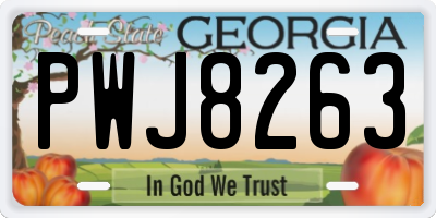 GA license plate PWJ8263