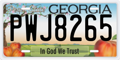 GA license plate PWJ8265