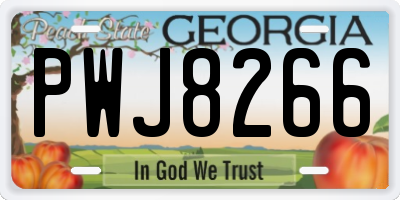 GA license plate PWJ8266
