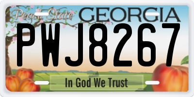 GA license plate PWJ8267