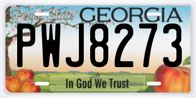 GA license plate PWJ8273