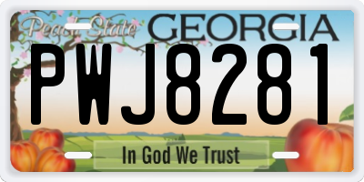 GA license plate PWJ8281