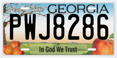 GA license plate PWJ8286