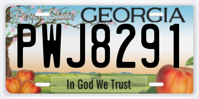 GA license plate PWJ8291