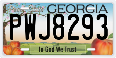 GA license plate PWJ8293