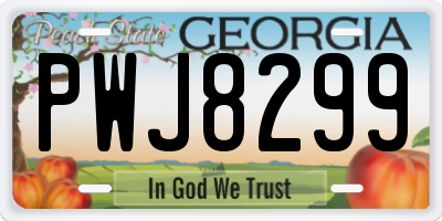 GA license plate PWJ8299
