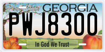 GA license plate PWJ8300