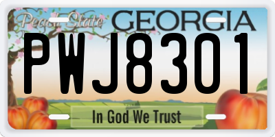 GA license plate PWJ8301