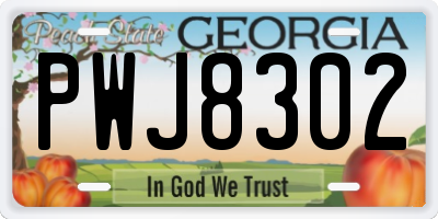 GA license plate PWJ8302