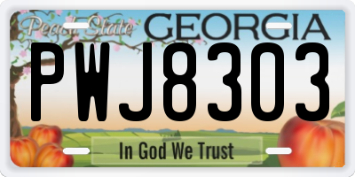 GA license plate PWJ8303