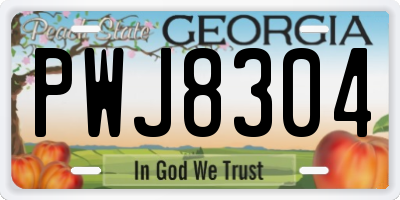 GA license plate PWJ8304